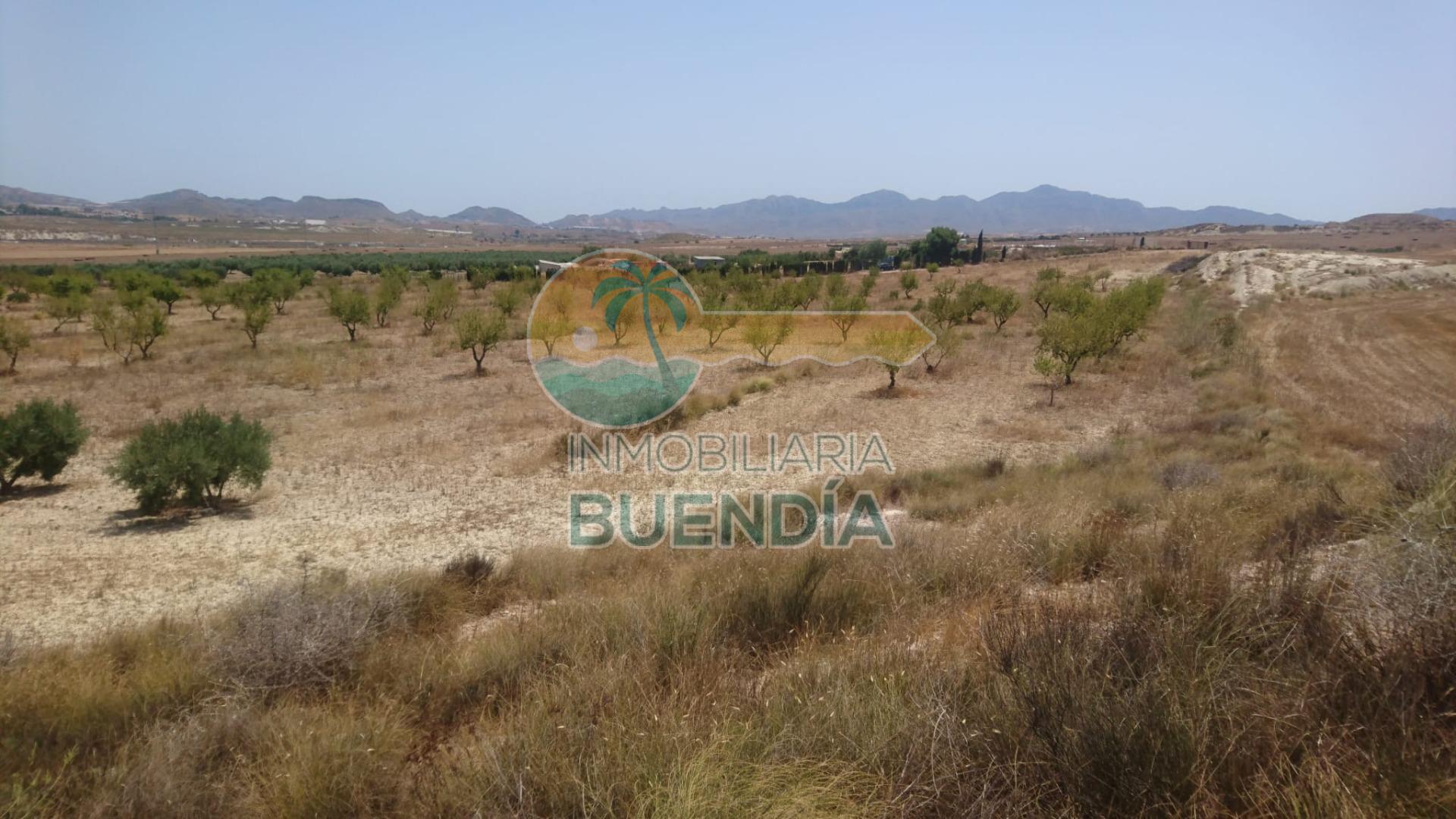 terreno-rustico-en-mazarron-18652592-3-1