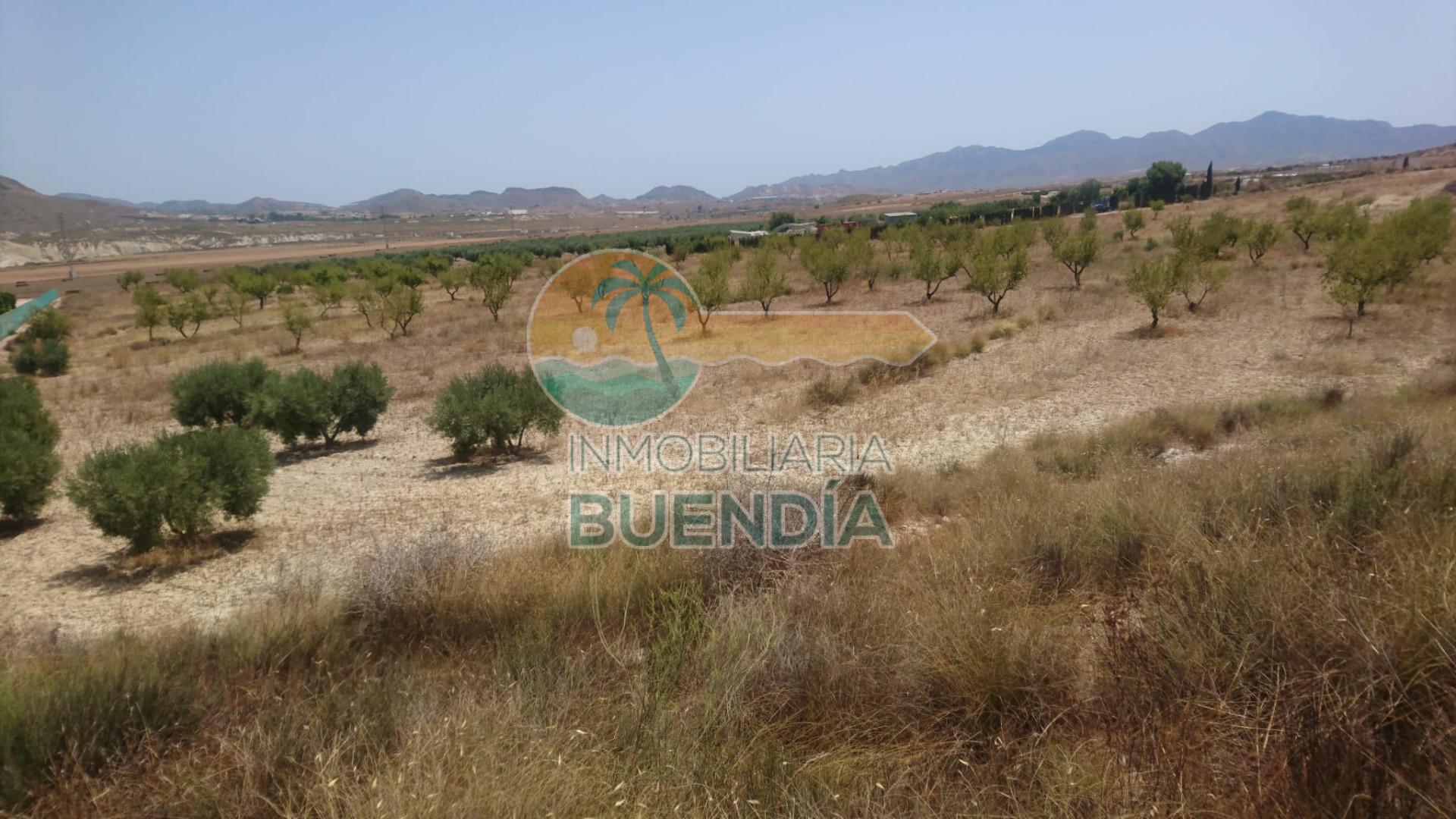 terreno-rustico-en-mazarron-18652592-3-2