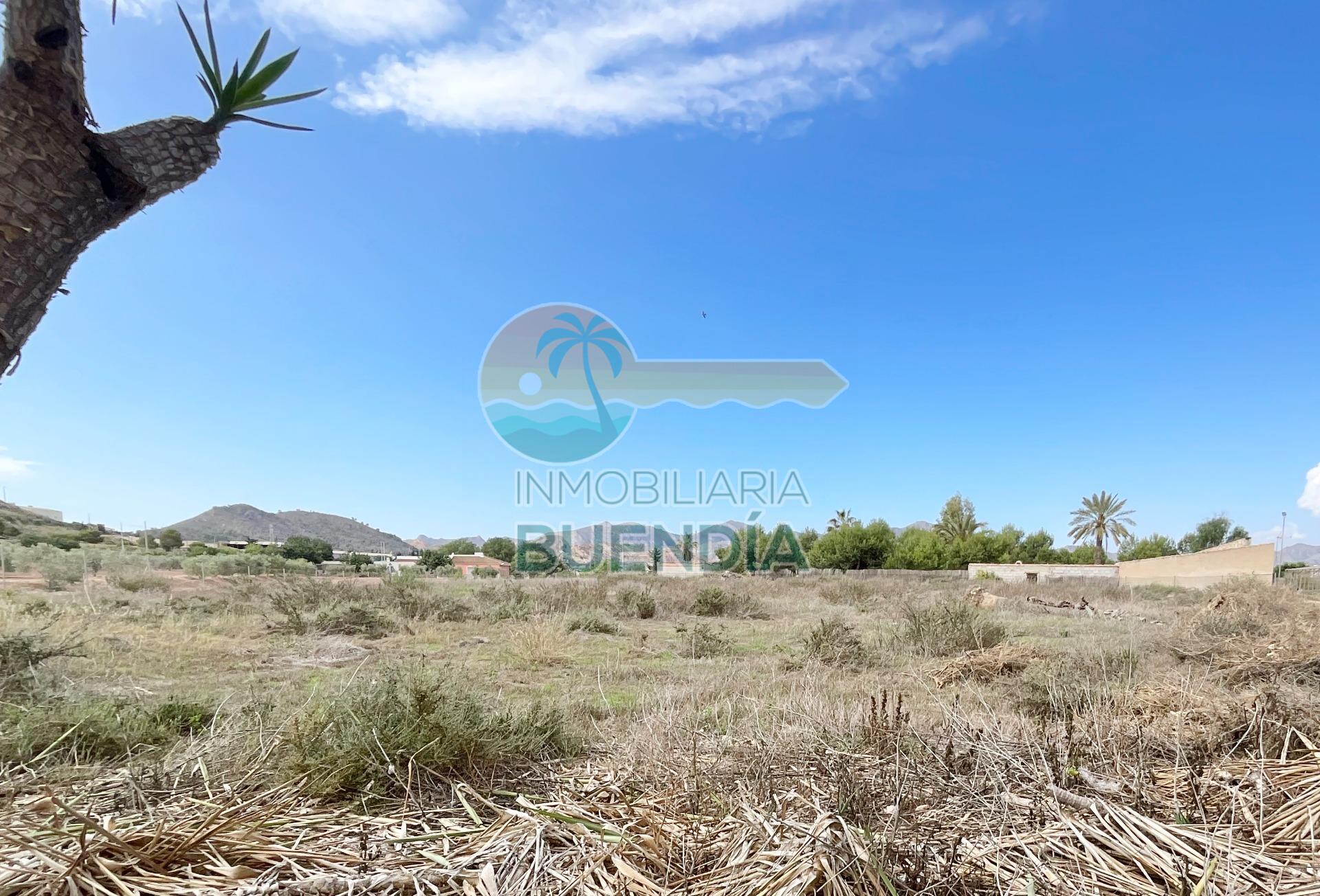 terreno-rustico-en-mazarron-18928424-3-2