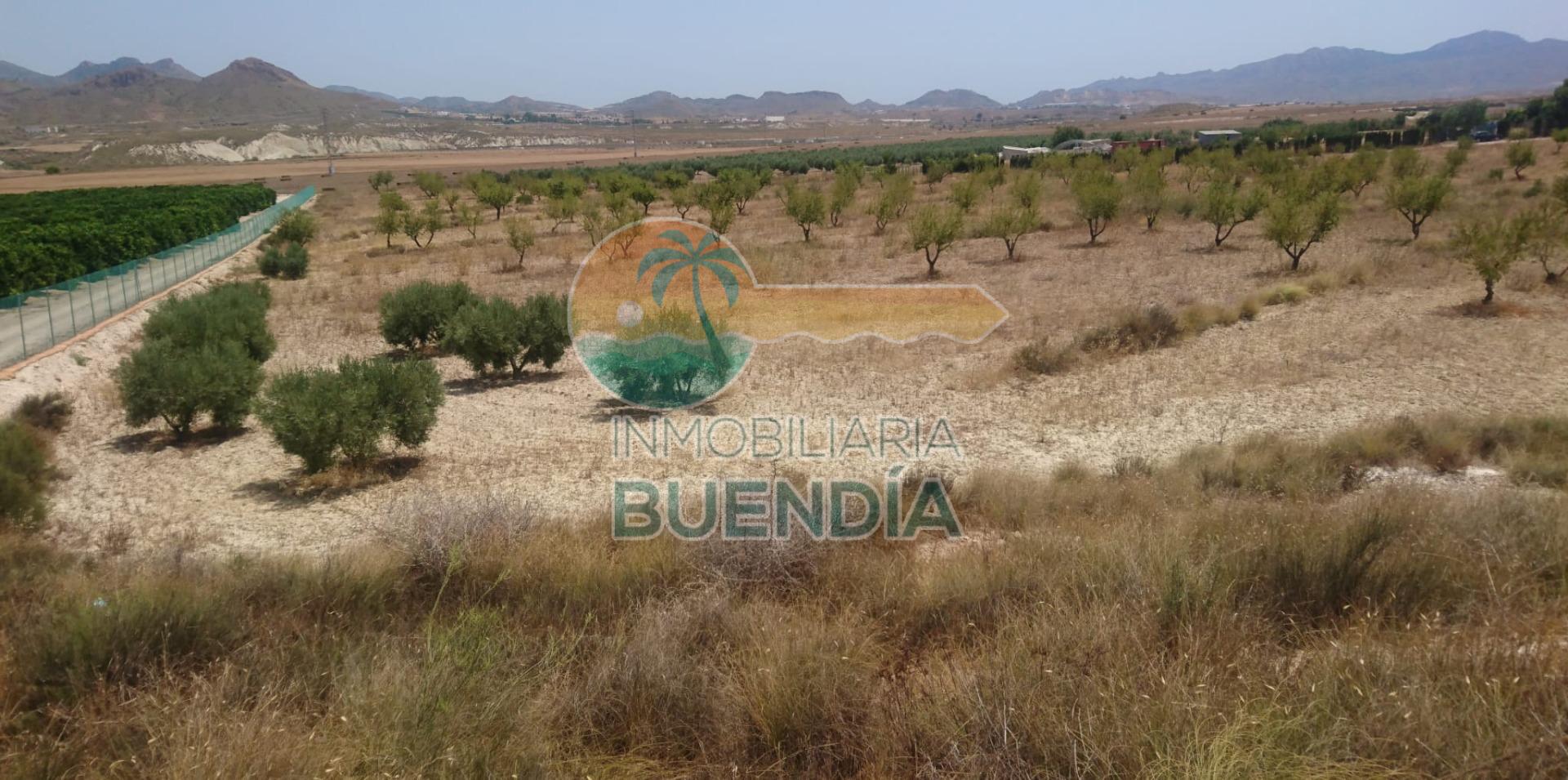 terreno-rustico-en-mazarron-18652592-3-3