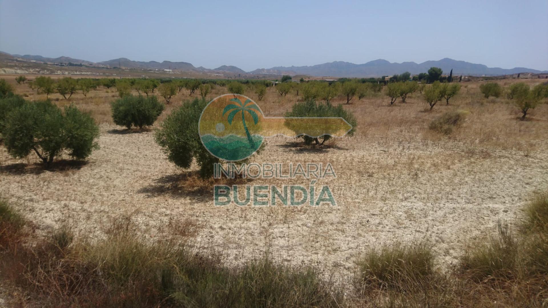 terreno-rustico-en-mazarron-18652592-3-4