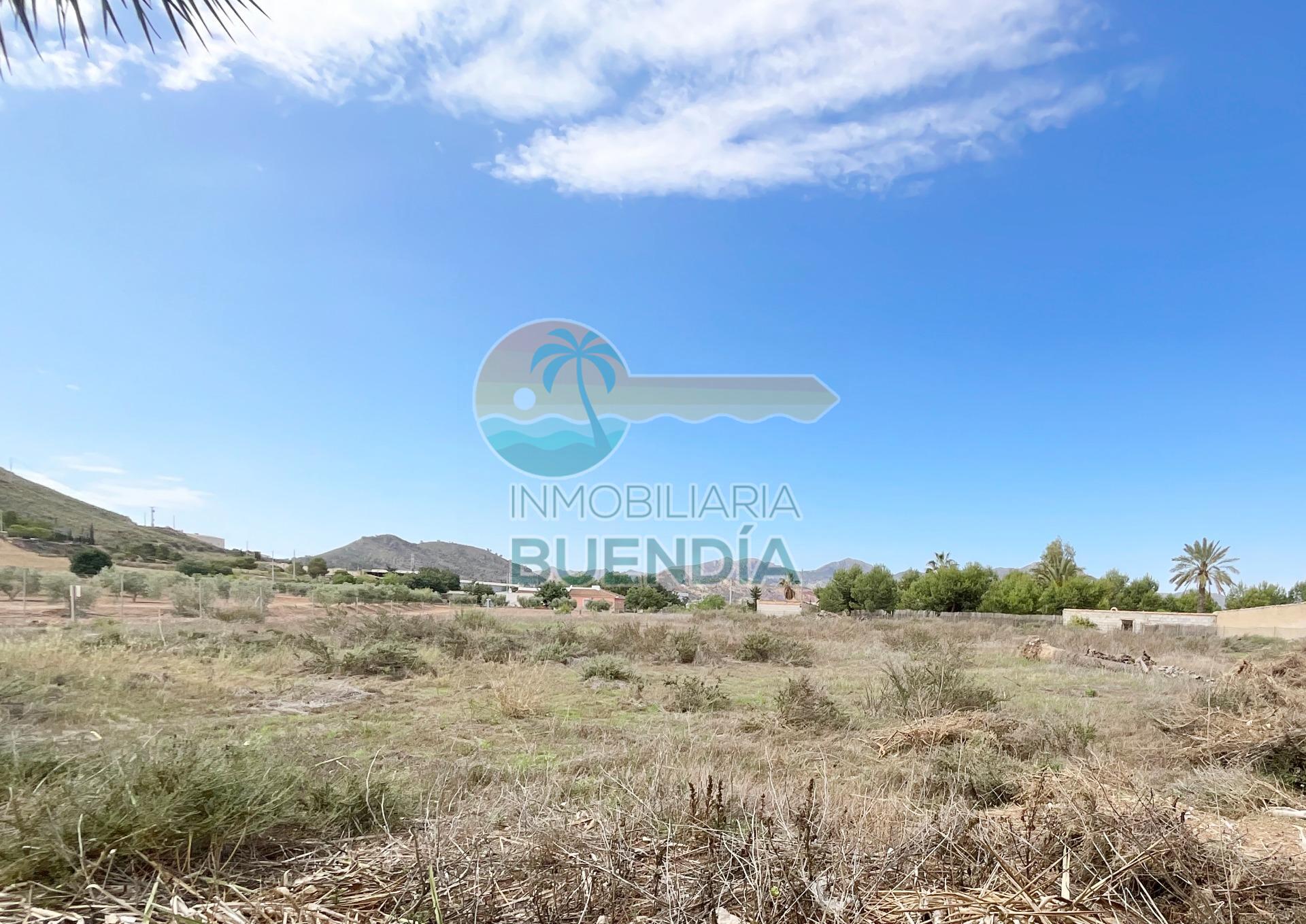 terreno-rustico-en-mazarron-18928424-3-6