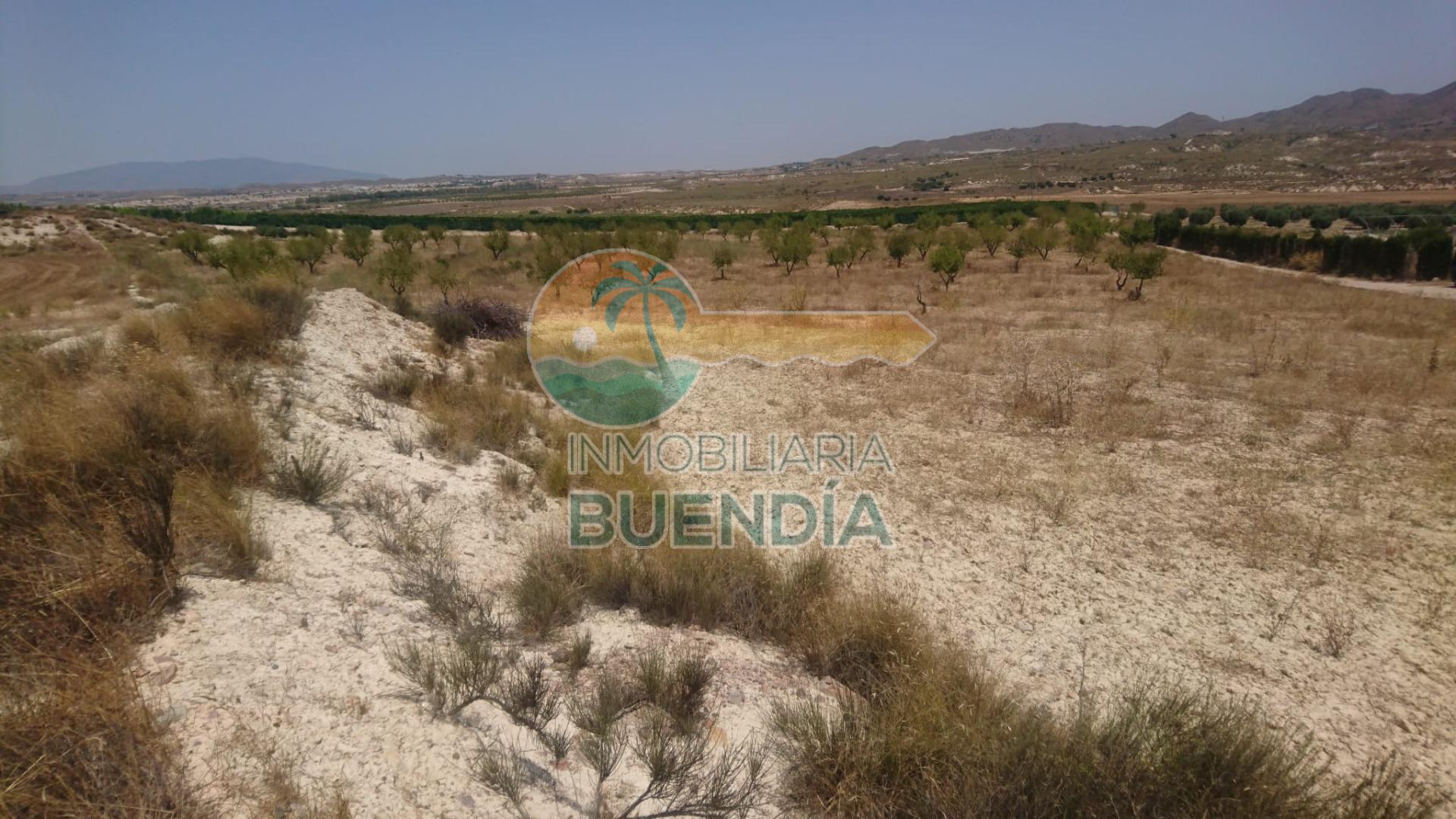 terreno-rustico-en-mazarron-18652592-3-6