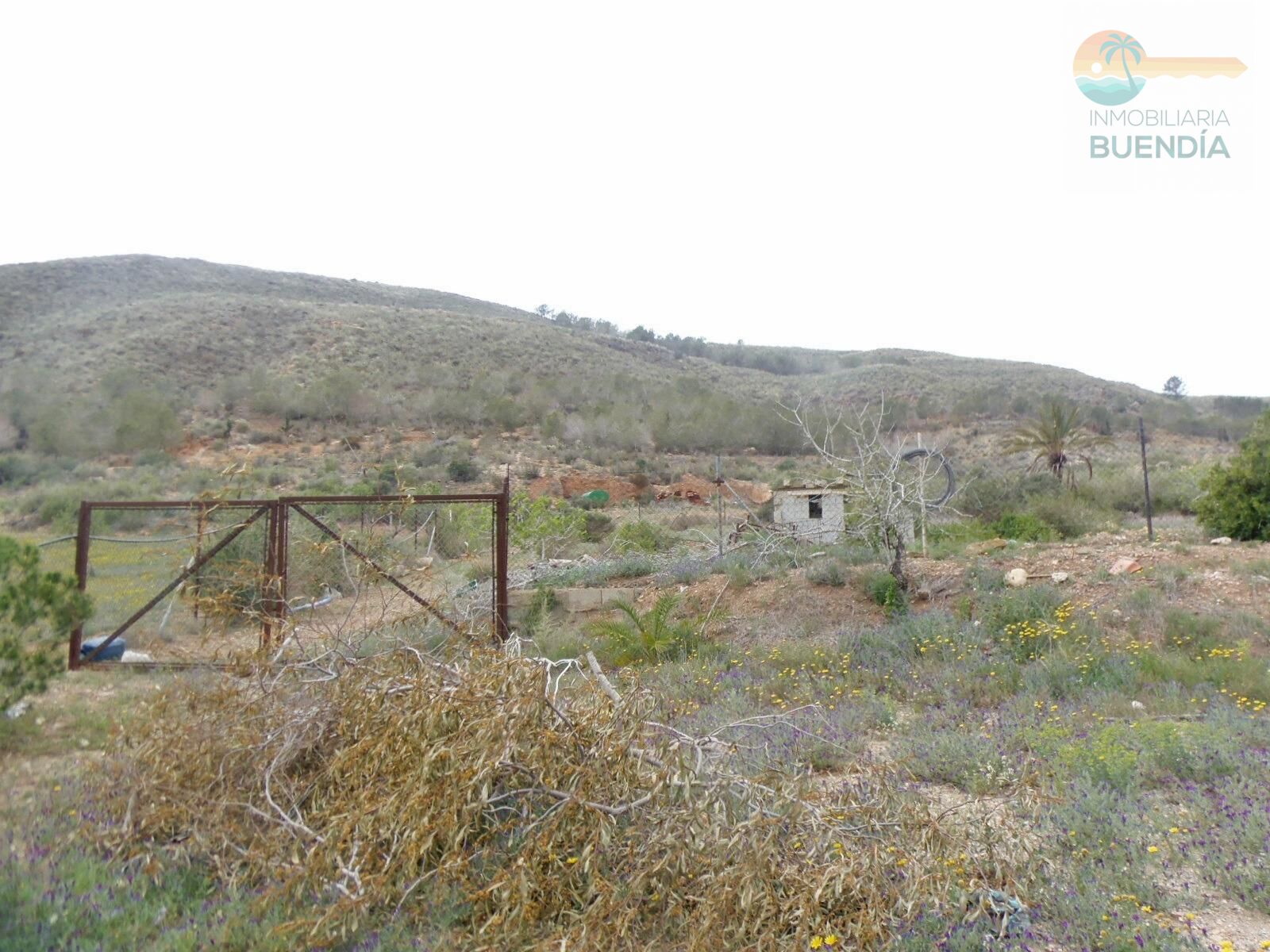 terreno-rustico-en-puerto-de-mazarron-15924785-3-7