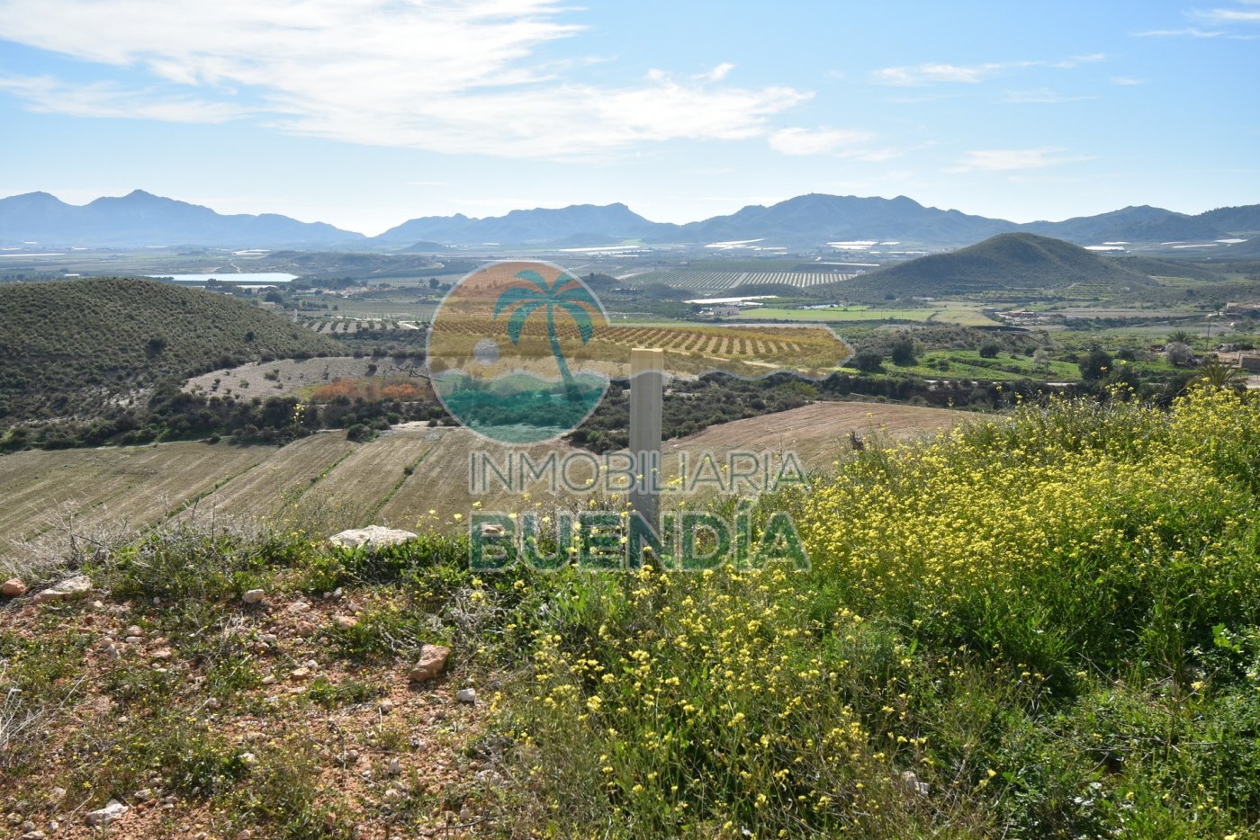 terreno-rustico-en-mazarron-15924808-5-1