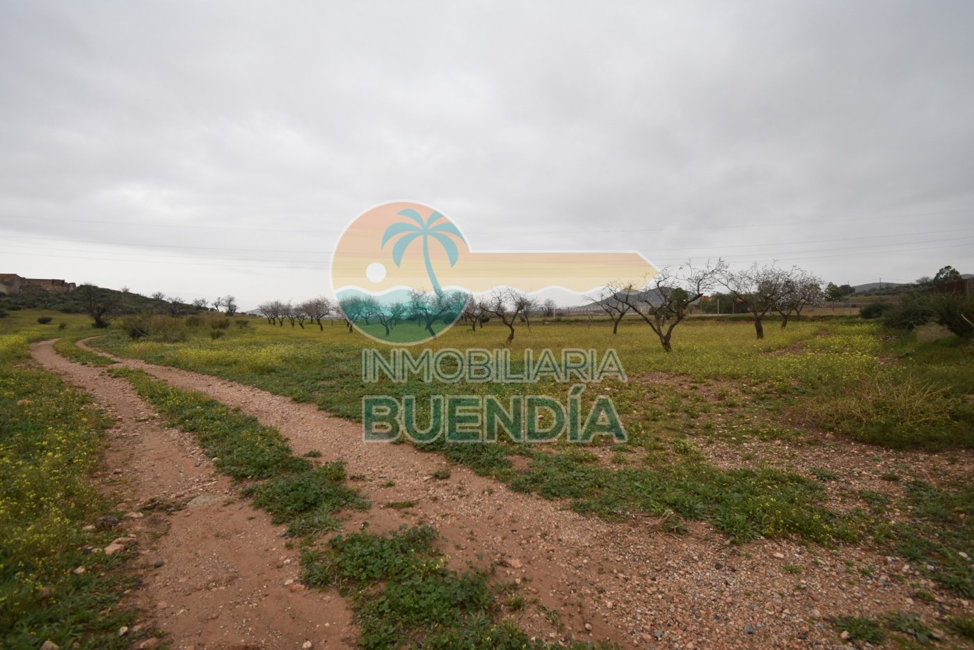 terreno-rustico-en-cartagena-15924801-5-17