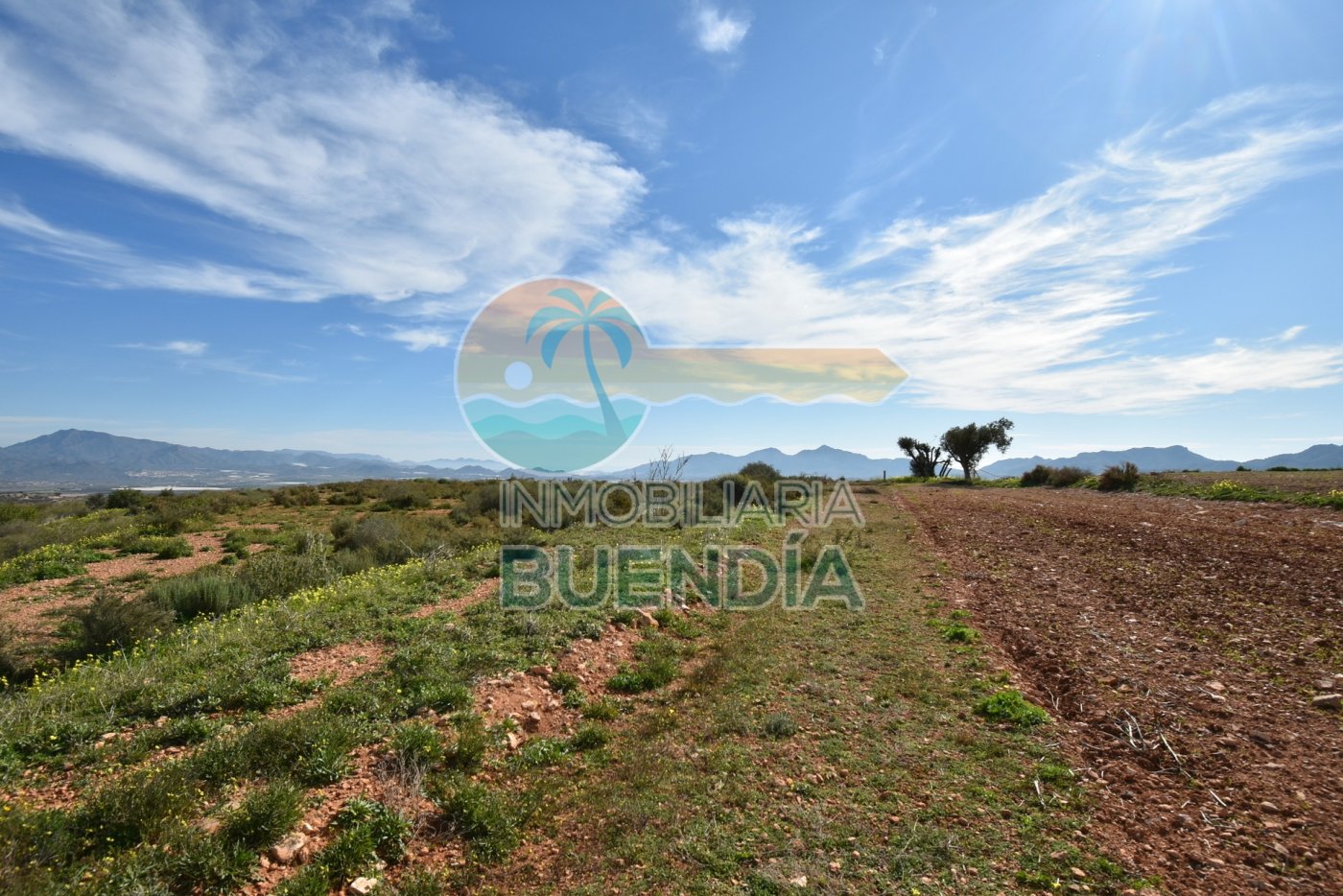 terreno-rustico-en-mazarron-15924808-5-19