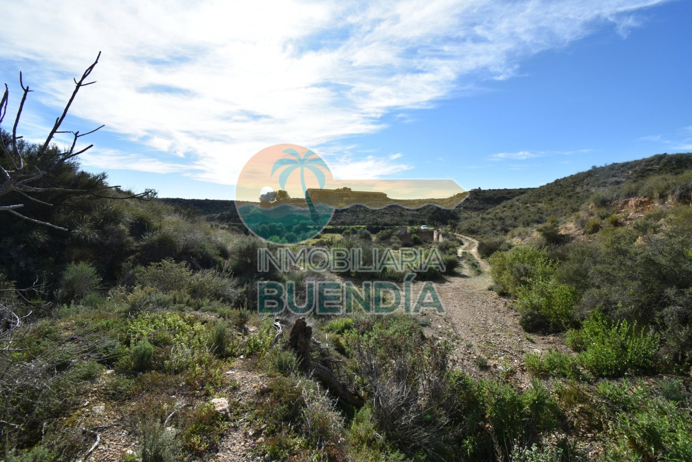 terreno-rustico-en-mazarron-15924808-5-5