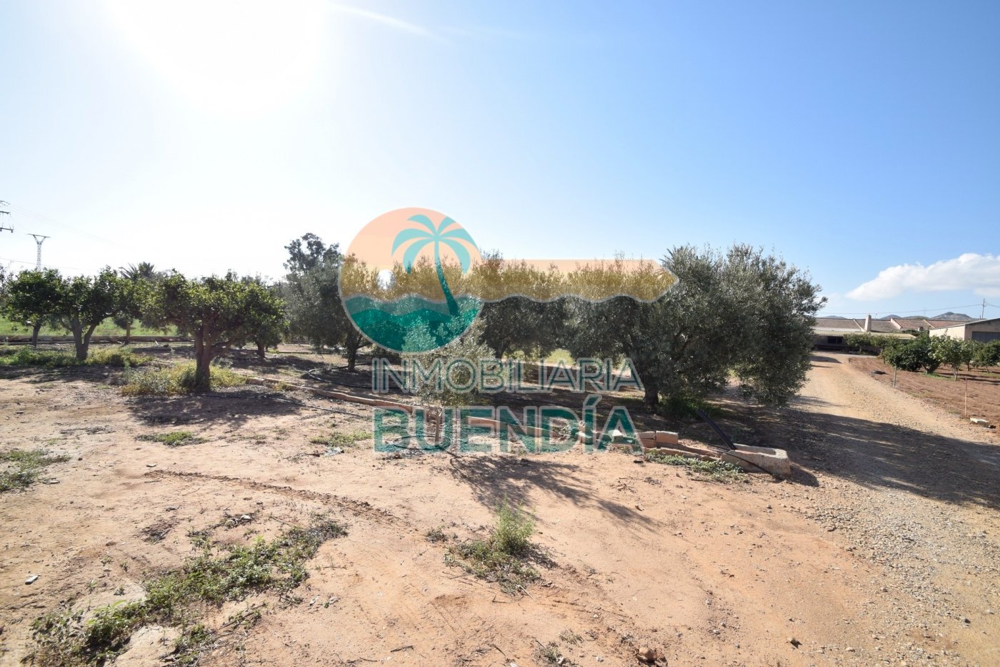 terreno-rustico-en-fuente-alamo-de-murcia-15924339-4-5