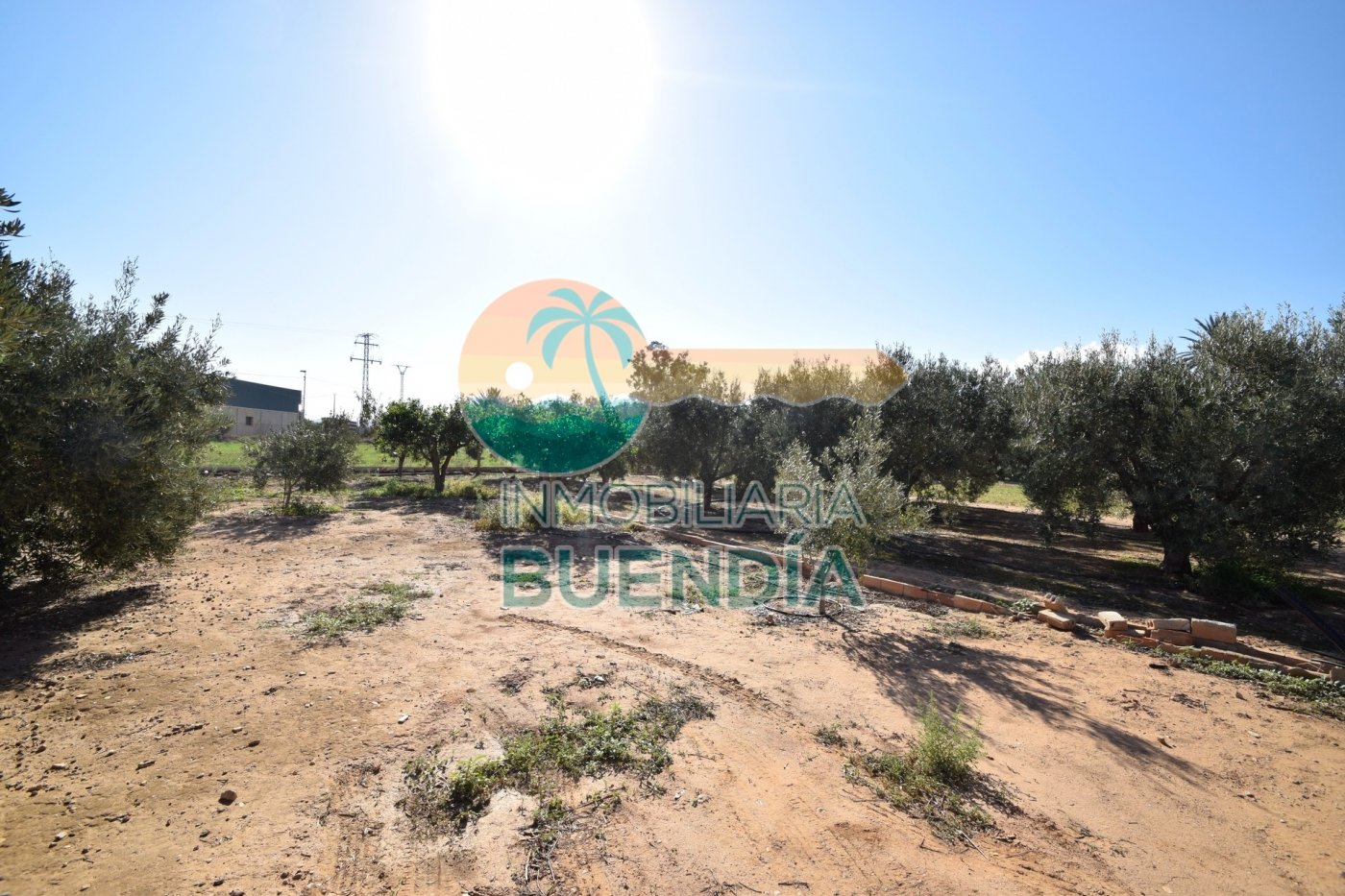 terreno-rustico-en-fuente-alamo-de-murcia-15924339-4-9