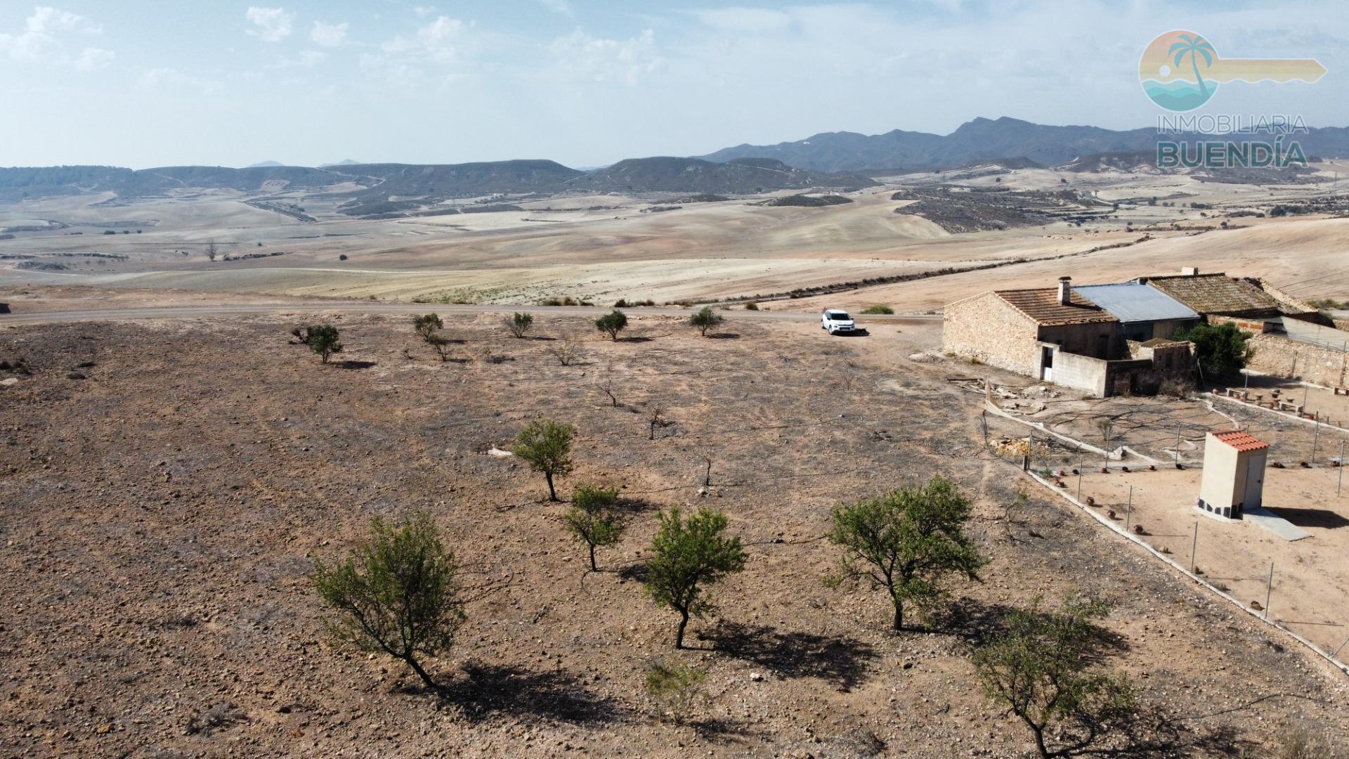 casa-de-campo-en-totana-21926543-11-1