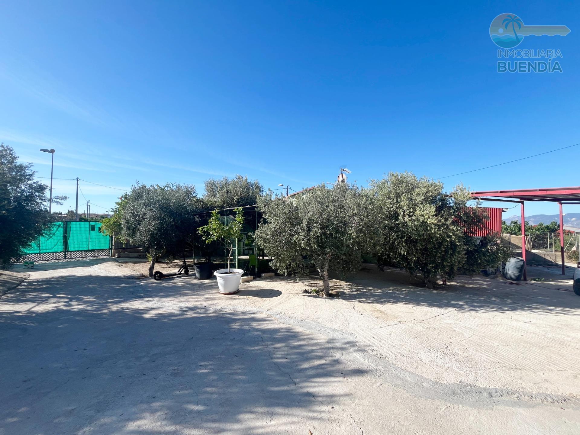 casa-de-campo-en-lorca-21729865-11-8