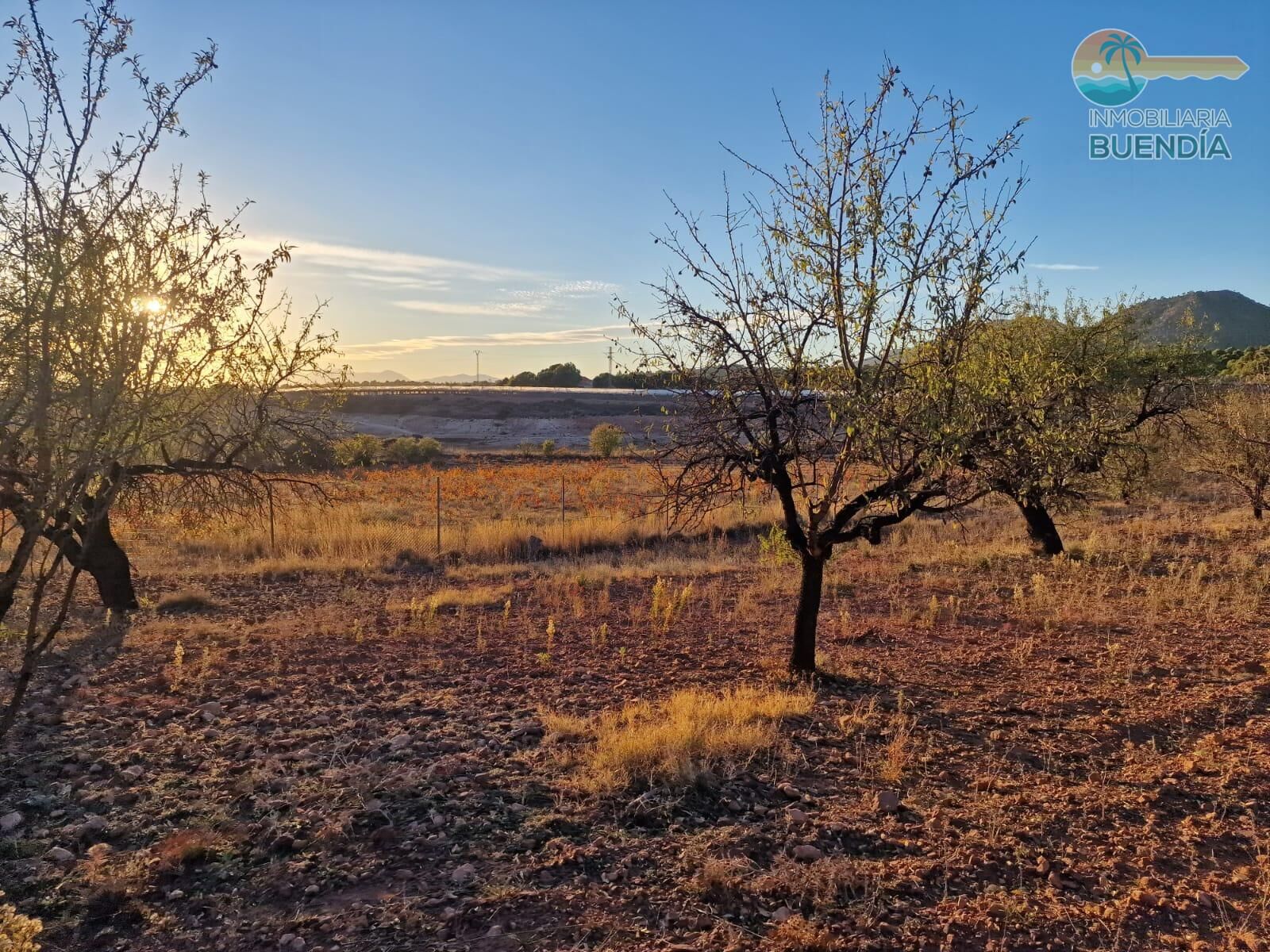 casa-de-campo-en-totana-20704928-4-23