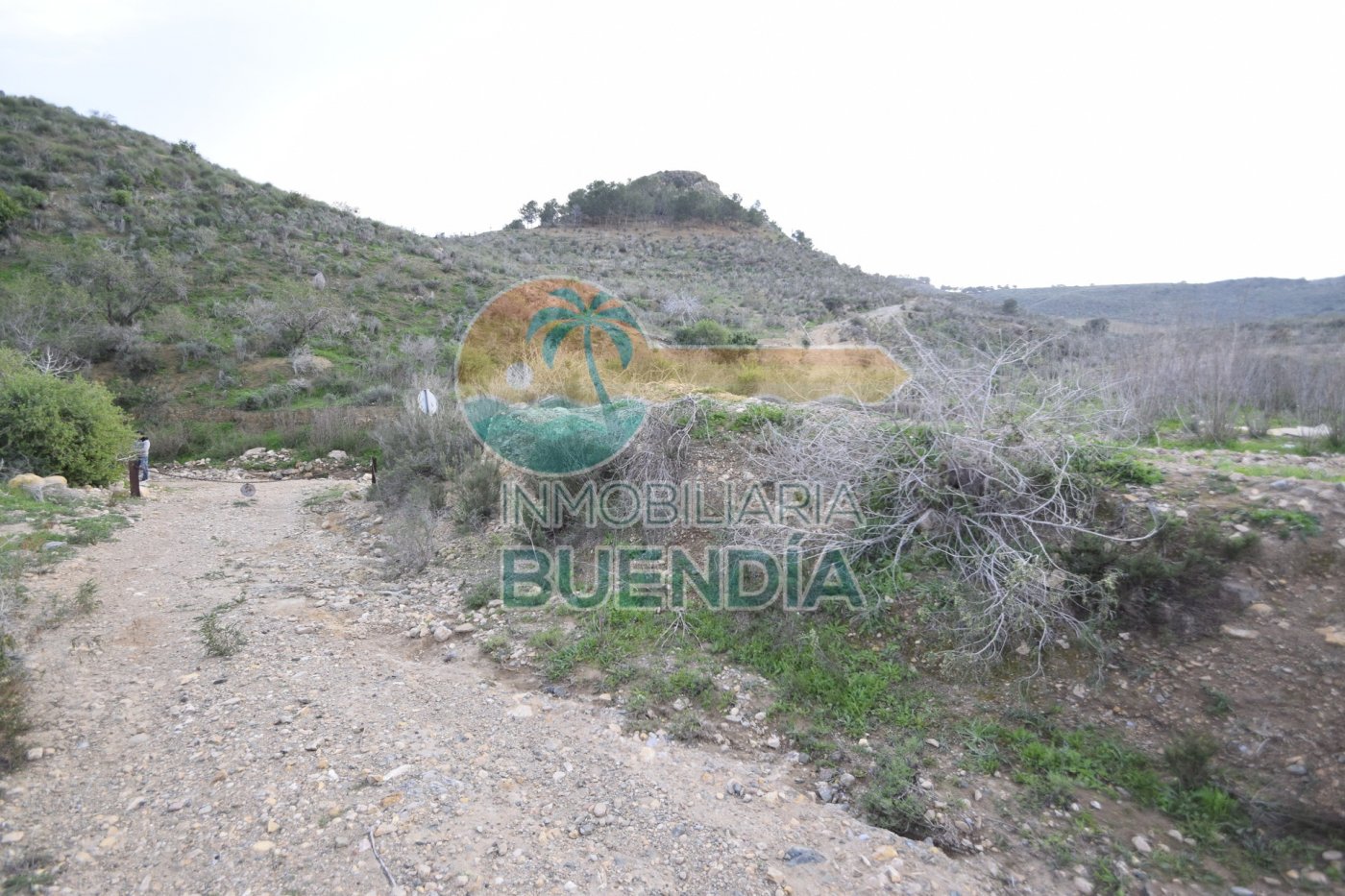 terreno-rustico-en-puerto-de-mazarron-15924414-3-19