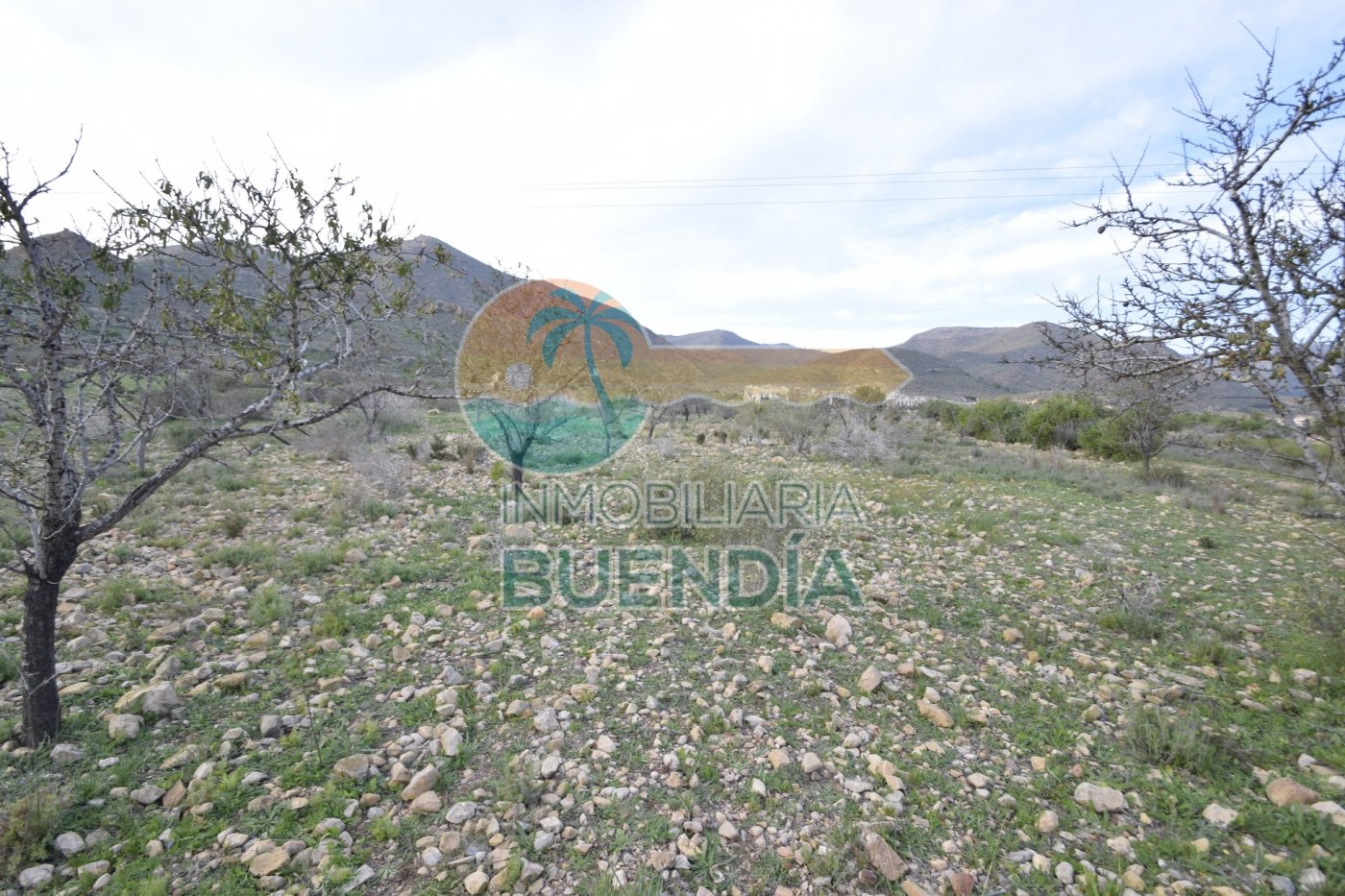 terreno-rustico-en-puerto-de-mazarron-15924414-3-9